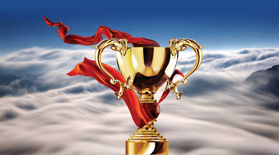 bevictor伟德霸气摘星：智能家居领军品牌大雁奖！